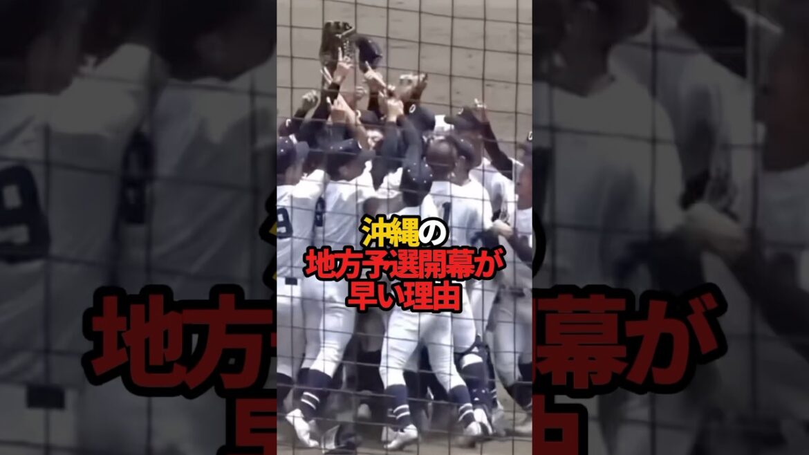 沖縄の地方予選開幕が早い理由 #sports #shorts #野球 #高校野球 #やきゅスト