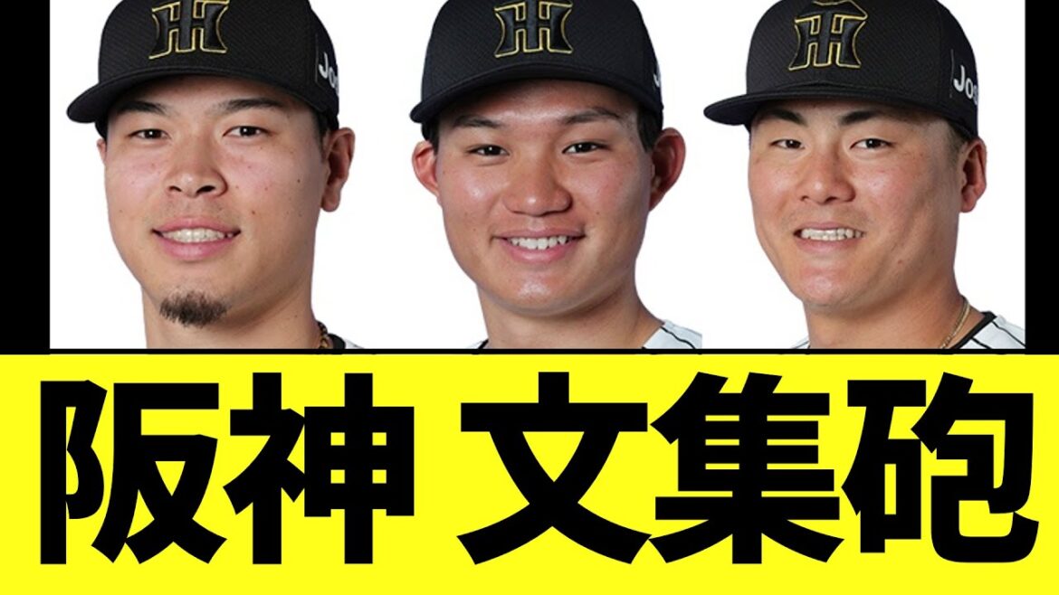 阪神タイガース ガチの主力文集砲…. 阪神タイガース ガチの主力文集砲....