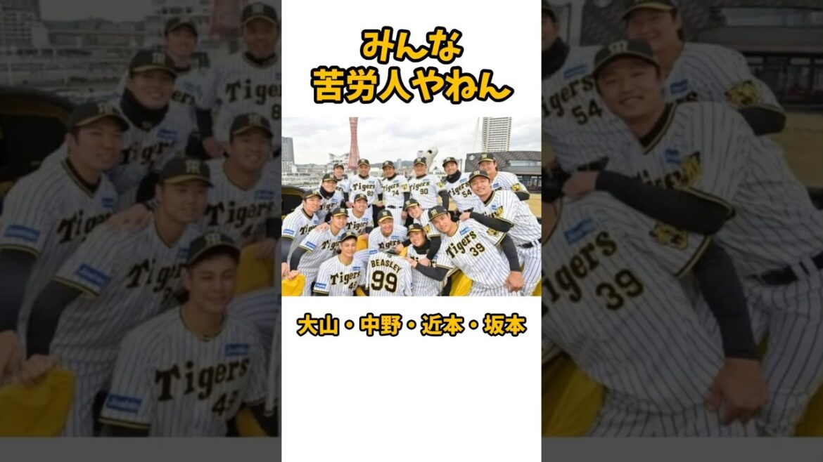 【阪神タイガース】今を支える苦労人たちの奮闘2 【阪神タイガース】今を支える苦労人たちの奮闘2