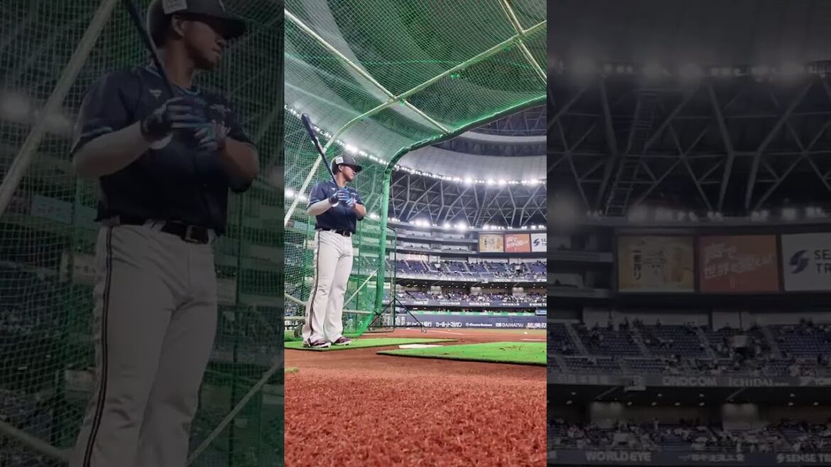 【マイナビオールスターゲーム2025】頓宮選手バッティング練習⚾️ #オールスター #頓宮裕真 #オリックス #shorts