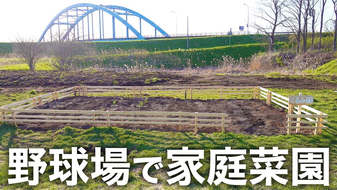 【ガーデン隊長登場】野球場で家庭菜園をやりたい!! 【ガーデン隊長登場】野球場で家庭菜園をやりたい!!