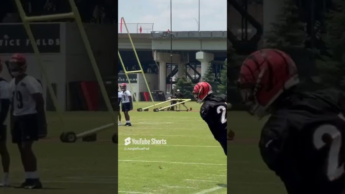 Joe Burrow finds Ja’Marr Chase on sideline route in front of Marco Wilson Joe Burrow finds Ja’Marr Chase on sideline route in front of Marco Wilson