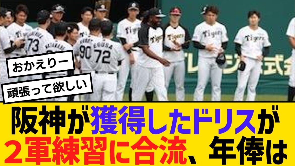 阪神が獲得したドリスが２軍練習に合流、竹内球団副本部長「勝つための補強　投げているボールはNPBでも通用」年俸は？【野球】【反応】【考察】