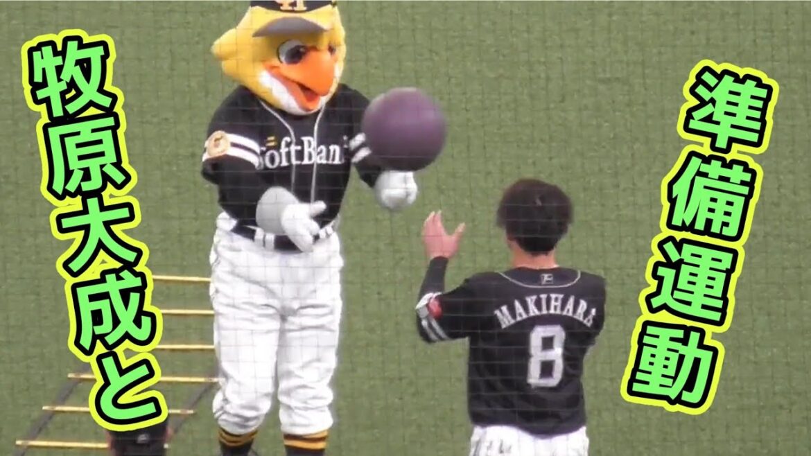 2025/7/19 ハリーホーク お手伝いしつつ牧原大成と準備運動（福岡ソフトバンクホークス）