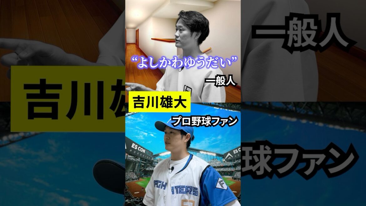 一般人とプロ野球ファンの違い 一般人とプロ野球ファンの違い