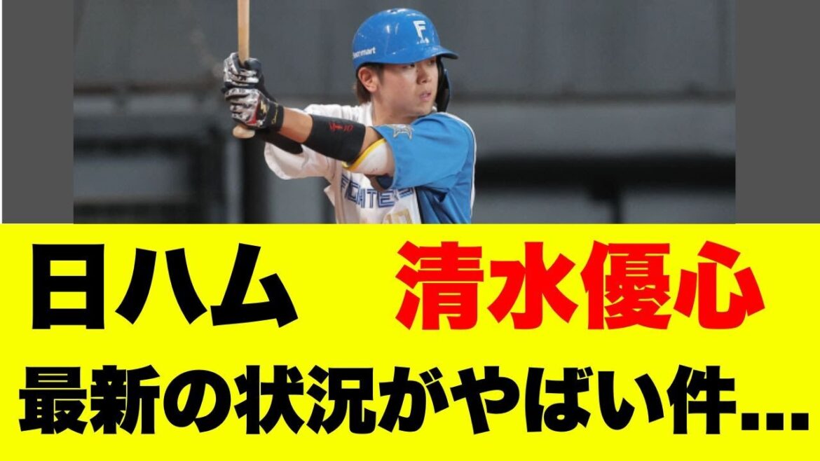【日本ハム】清水優心29歳の挑戦！正捕手争いで苦戦も2軍で大幅成績向上｜リード力抜群の技巧派捕手を徹底分析