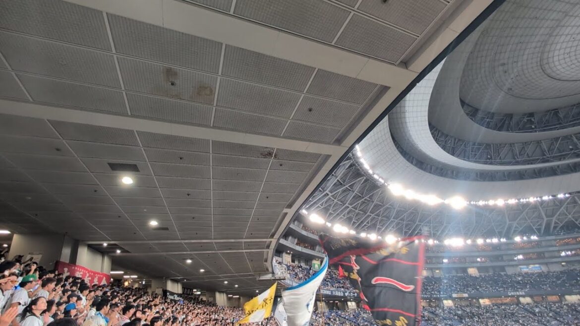 【オールスター2025】 パリーグ勝利の二次会フル パリーグ-セリーグ 京セラドーム2025/7.23