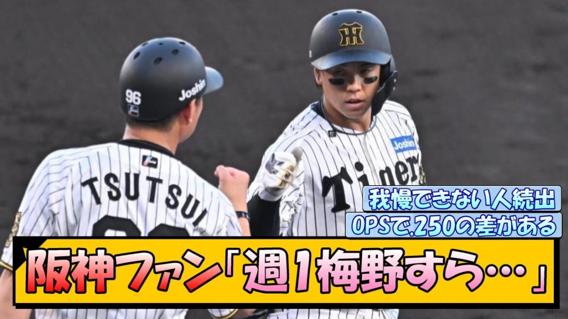阪神ファン「週1梅野すら…」