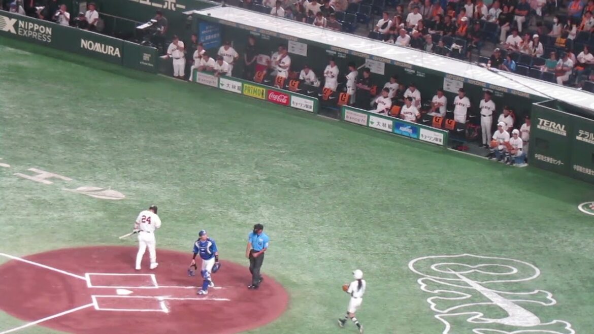 【ジャイアンツベンチ】初回 岡本和真ホームランで興奮気味の時と大城卓三のの打席の時（ 読売ジャイアンツ対横浜DeNAベイスターズ 2024年7月13日）