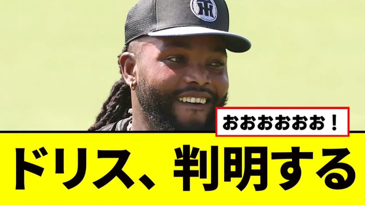 【阪神】ドリスの復帰理由、判明するwwwww 【阪神】ドリスの復帰理由、判明するwwwww