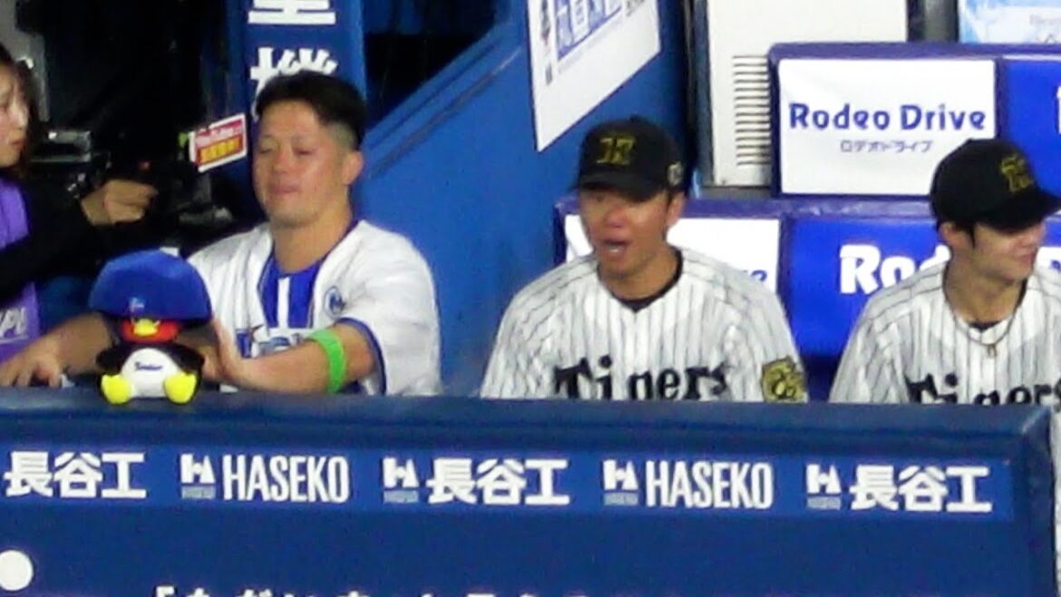 【オールスター2025】第2戦 【牧秀悟】【中野拓夢】【村上頌樹】がベンチ他チームのキャップの被り合い その後に牧秀悟がチャンテに合わせてノル 現地映像