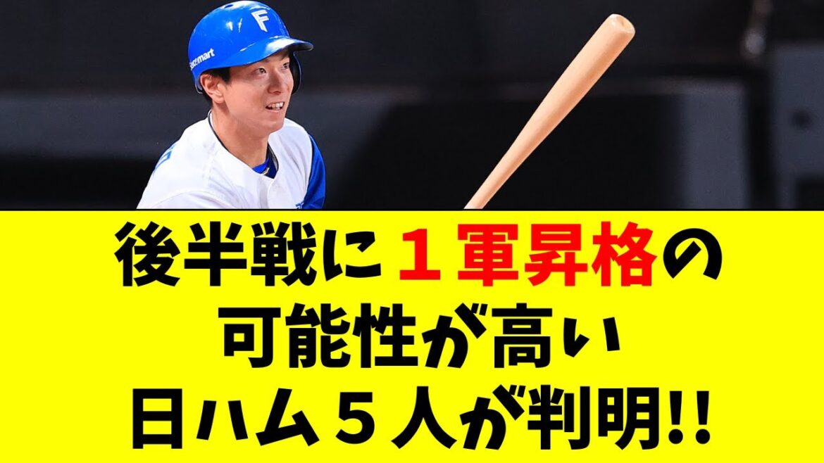 【日本ハム】後半戦で１軍昇格の可能性が高い５選手が判明！