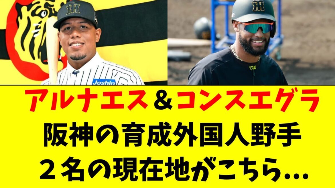 【阪神】育成外国人野手、アルナエス&コンスエグラの現在地 【阪神】育成外国人野手、アルナエス&コンスエグラの現在地