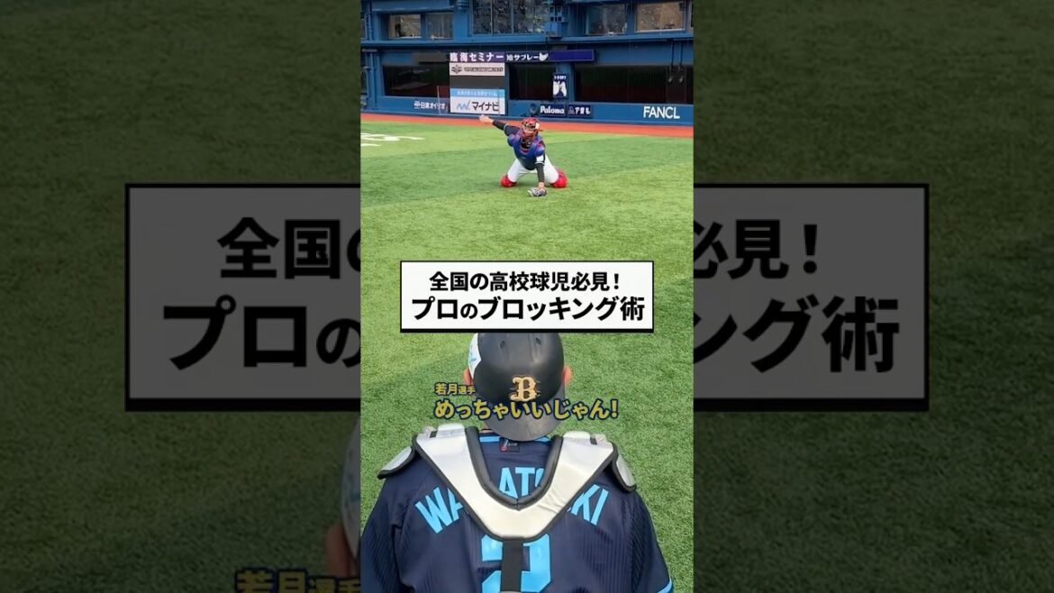 寺地選手に若月選手がブロッキングの秘訣を伝授 #chibalotte #マイナビオールスターゲーム2025