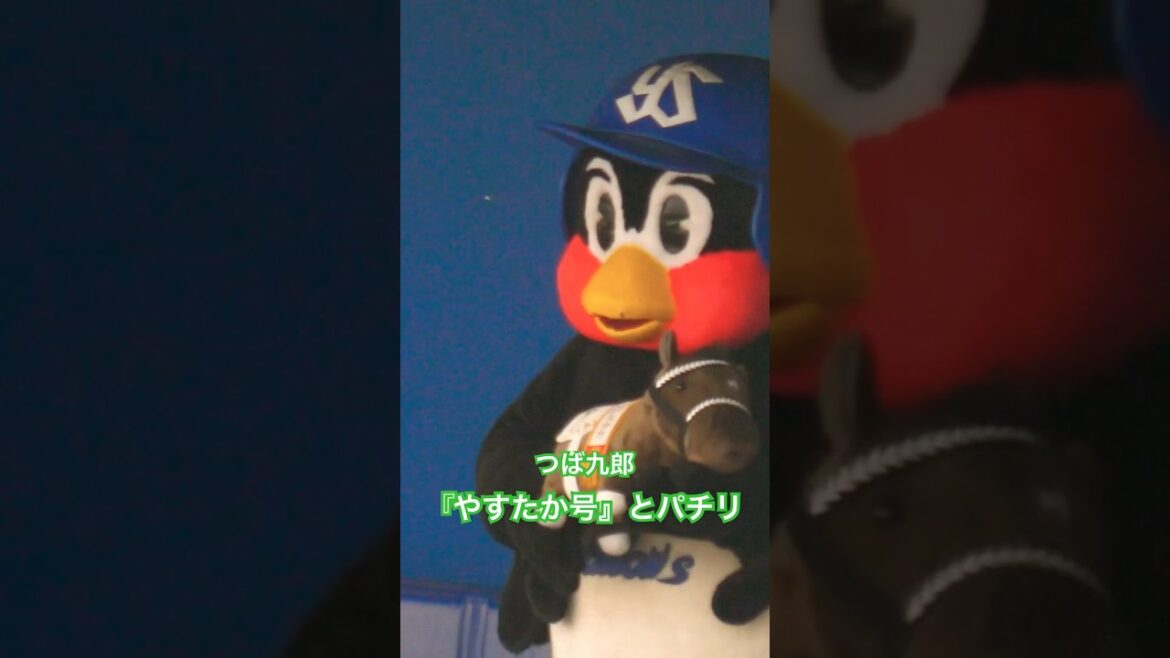 つば九郎　やすたか号とパチリ！みんな待ってるよ〜 #swallows #ヤクルトスワローズ #つば九郎 #塩見泰隆 #プロ野球 #shorts