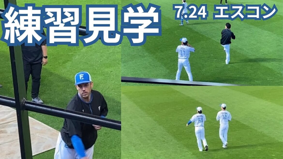 【エスコン】ファイターズ練習見学行ってきた④【大海多め 2025.7.24】