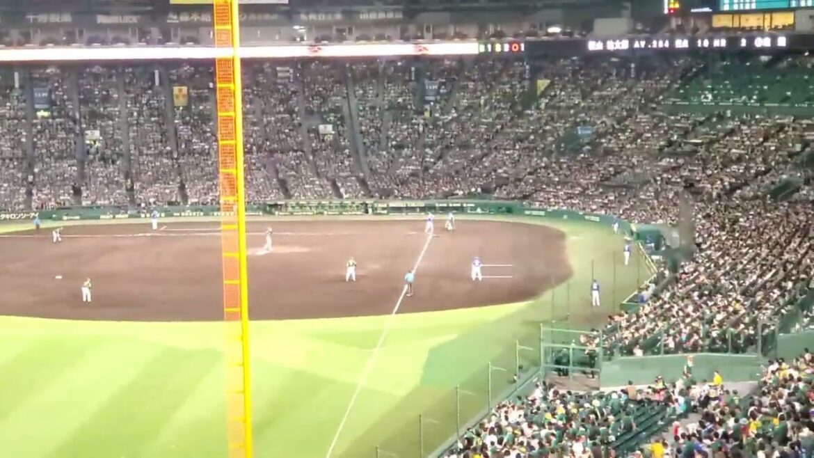 20240728　打者は板山祐太郎！中日ﾄﾞﾗｺﾞﾝｽﾞ【野手汎用応援歌】　5回表　汎用ﾃｰﾏ@阪神甲子園球場･ﾚﾌﾄ外野 ｳﾙ虎の夏2024