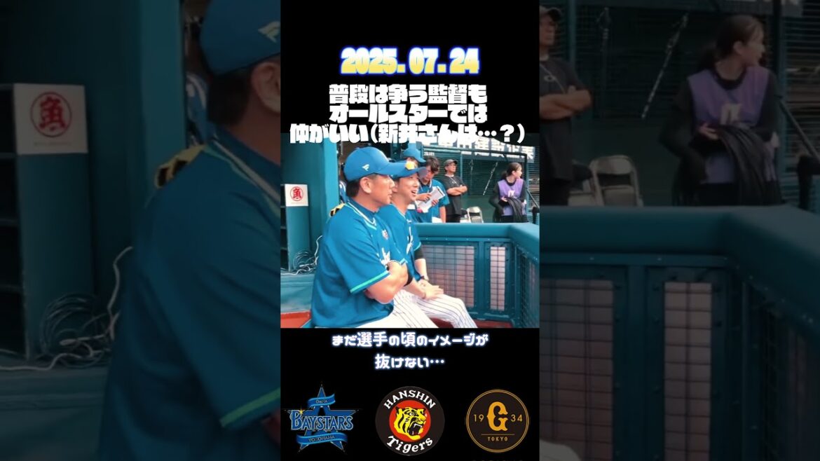 セリーグ3監督、オールスターでは仲良し #baystars #巨人 #阪神タイガース   #shorts  #プロ野球　#三浦監督 　#阿部監督  #藤川監督