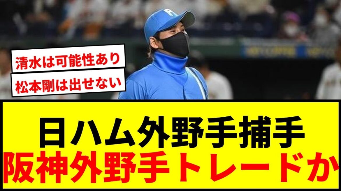 【緊急速報】「大体の球団が手をあげるよ」日ハム31歳外野手＆29歳捕手、阪神23歳外野手にトレード話が急浮上！