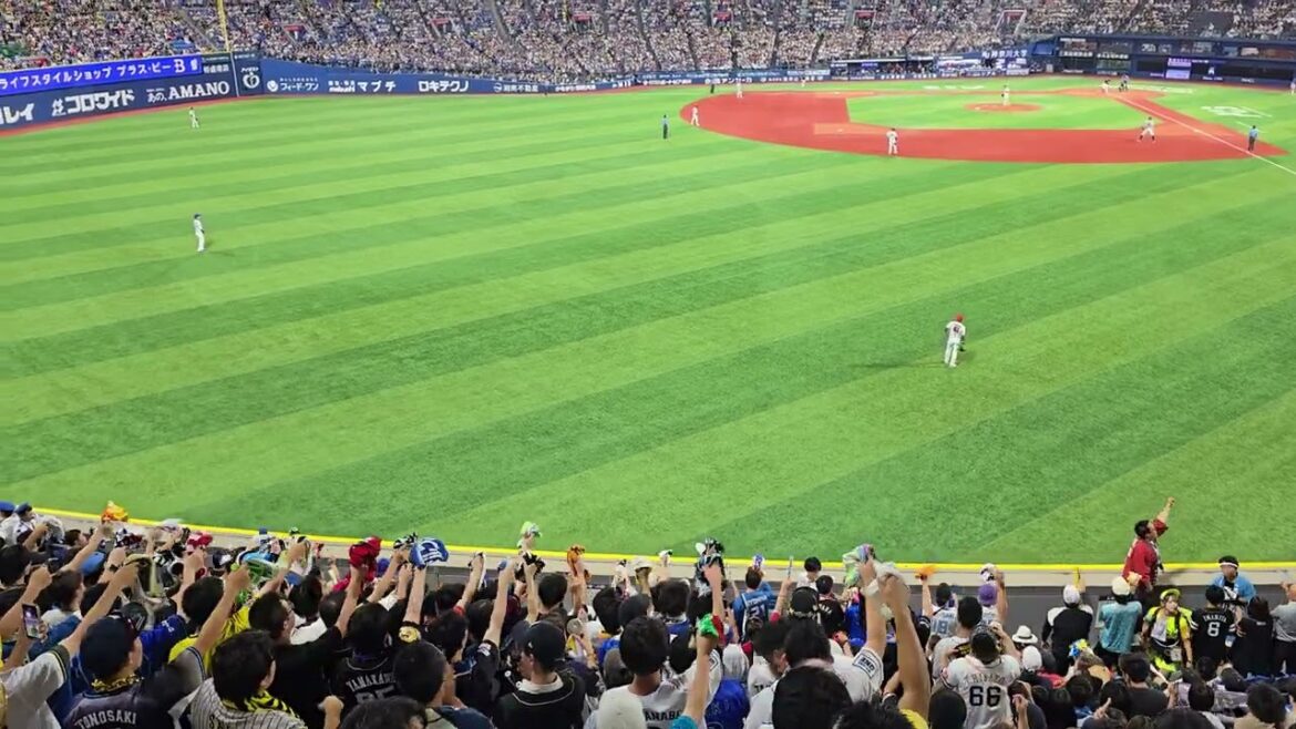 チャンステーマレッツゴーわっしょい（マイナビオールスター第2戦）横浜スタジアム