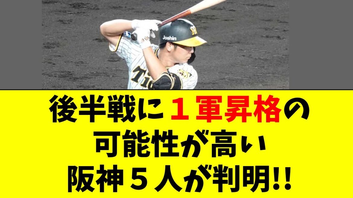 【阪神】後半戦で1軍昇格の可能性が高い5選手が判明! 【阪神】後半戦で1軍昇格の可能性が高い5選手が判明!