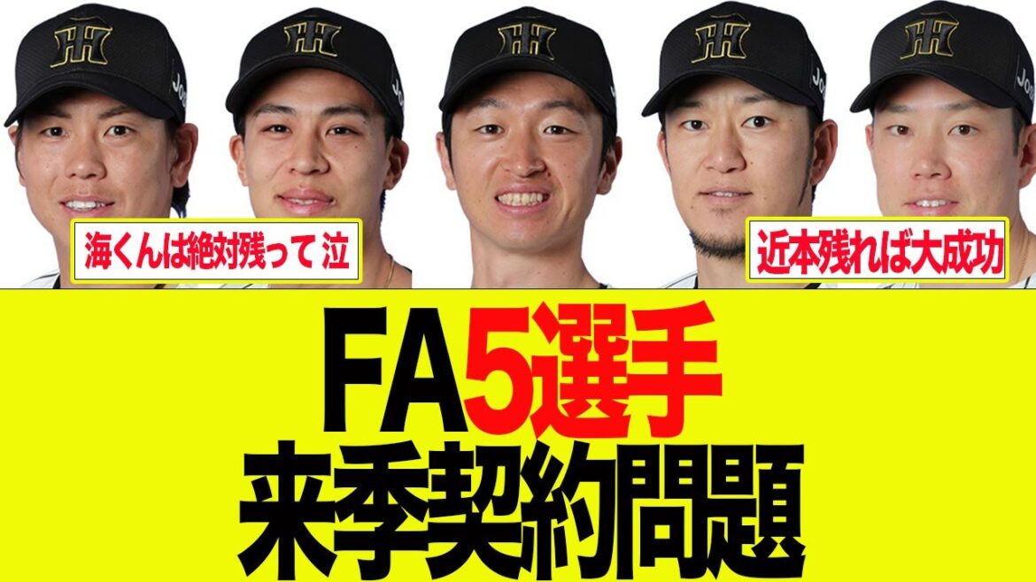 【阪神】FA5選手来季契約問題について 阪神ファンの反応集 【阪神】FA5選手来季契約問題について 阪神ファンの反応集