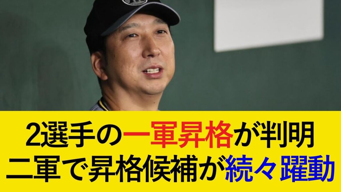 【入れ替え最新情報】勝負の後半戦へ2選手が一軍へ合流!2軍で猛アピール中の4選手は昇格チャンスを掴めるか【阪神タイガース】 【入れ替え最新情報】勝負の後半戦へ2選手が一軍へ合流!2軍で猛アピール中の4選手は昇格チャンスを掴めるか【阪神タイガース】