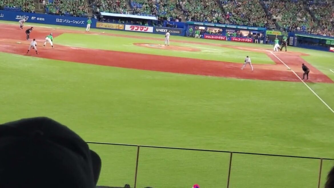 20240511　逆境超えてゆこう♪【ﾁｬﾝｽﾃｰﾏ3｢ALL FOR WIN｣】　東京ﾔｸﾙﾄｽﾜﾛｰｽﾞ　7回ｳﾗ@神宮球場･ﾚﾌﾄ外野 明治神宮野球場