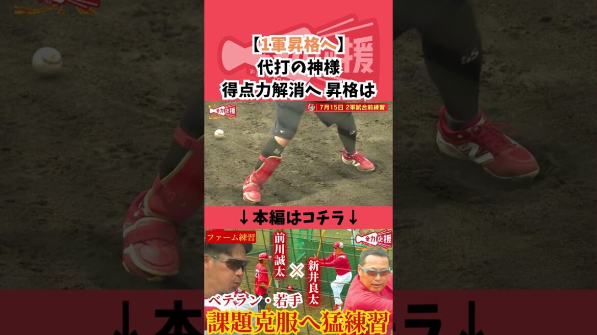 【得点力解消へ】代打の神様・ベテラン松山竜平の1軍昇格は?【球団認定】カープ全力応援チャンネル 【得点力解消へ】代打の神様・ベテラン松山竜平の1軍昇格は?【球団認定】カープ全力応援チャンネル