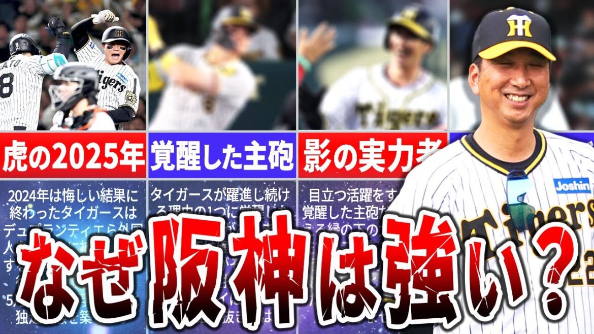 黄金時代到来？！阪神タイガースが強い本当の理由を徹底解説