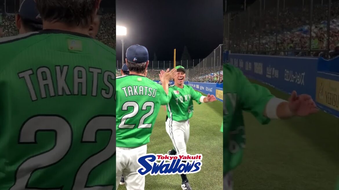 勝利後のハイタッチ  #swallows  #shorts