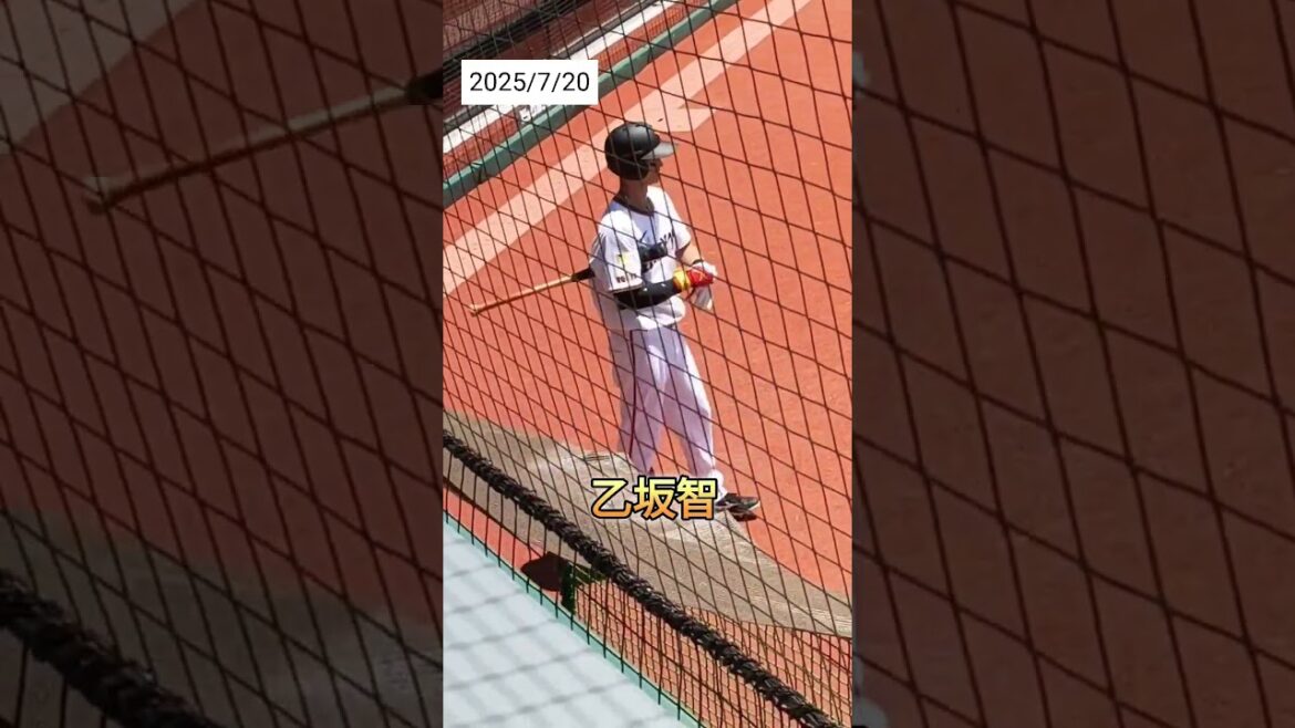 ③【GIANTS】 #乙坂智 選手54が#ネクストバッターズサークル #shorts #巨人 #ジャイアンツ #プロ野球
