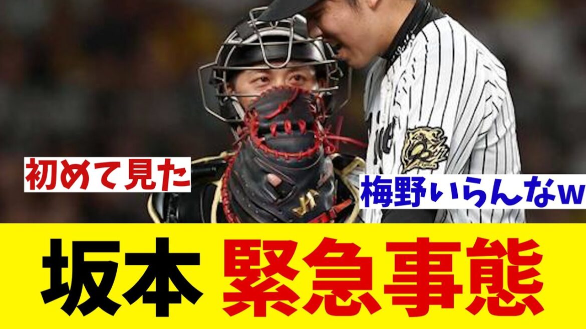 阪神・坂本誠志郎　緊急事態・・・【野球情報】【2ch 5ch】【なんJ なんG反応】【野球スレ】