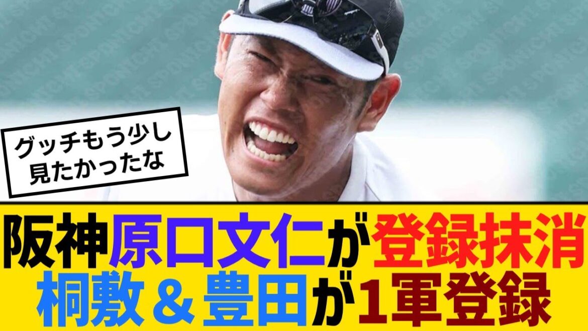 阪神・原口文仁が登録抹消、桐敷拓馬＆豊田寛が1軍登録【野球】【反応】【考察】
