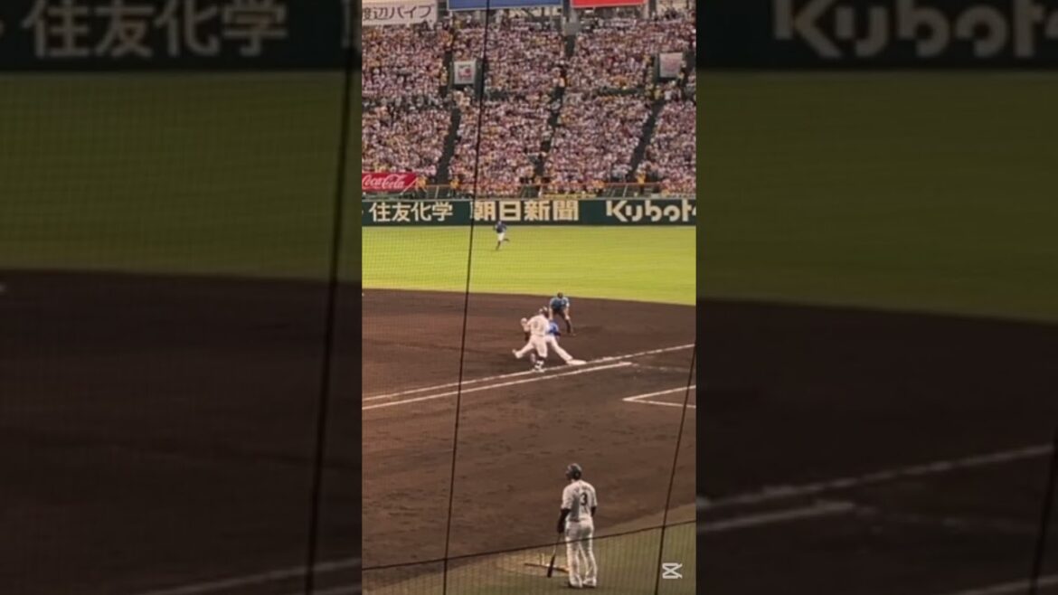 これはセーフやろ！ #shorts #佐藤輝明 #阪神タイガース