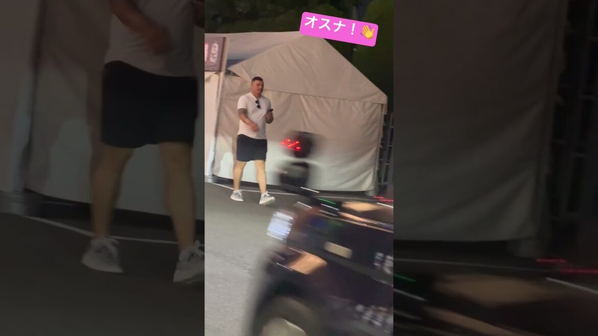 オスナお疲れ様でした！ヤクルトスワローズ