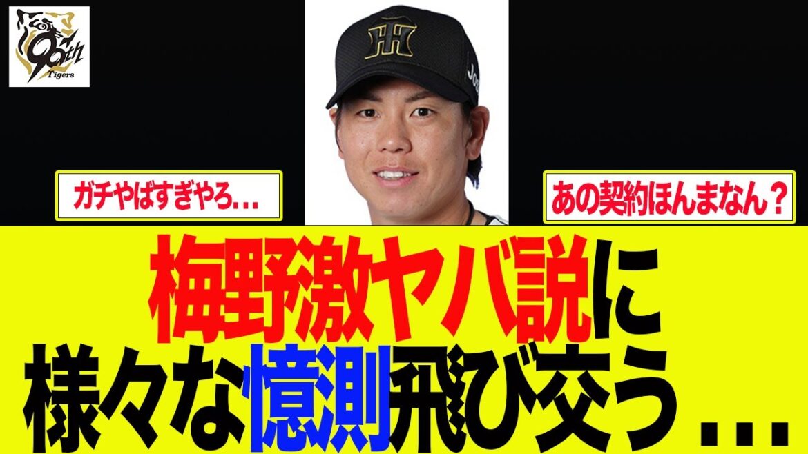 【阪神】梅野のやばい噂が現実味を帯びている件　 阪神ファンの反応集