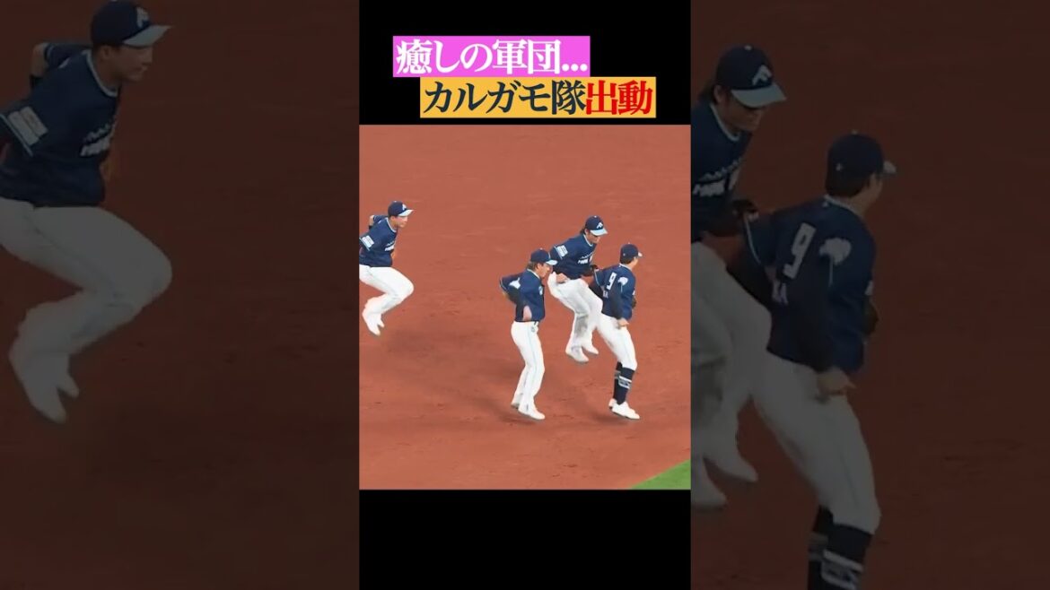 これが噂の… 🦆 #shorts