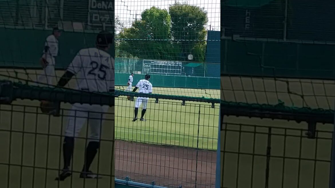 千葉ロッテマリーンズ岡大海選手のキャッチボールです！【ロッテ浦和球場】