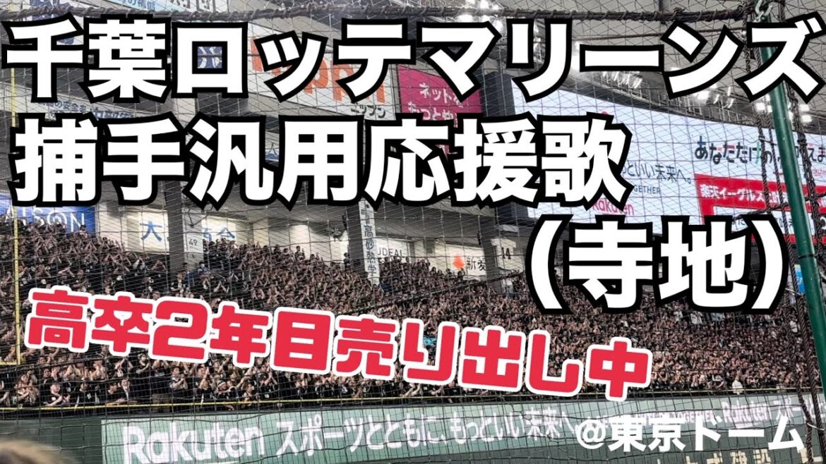 千葉ロッテマリーンズ 捕手汎用応援歌（寺地）