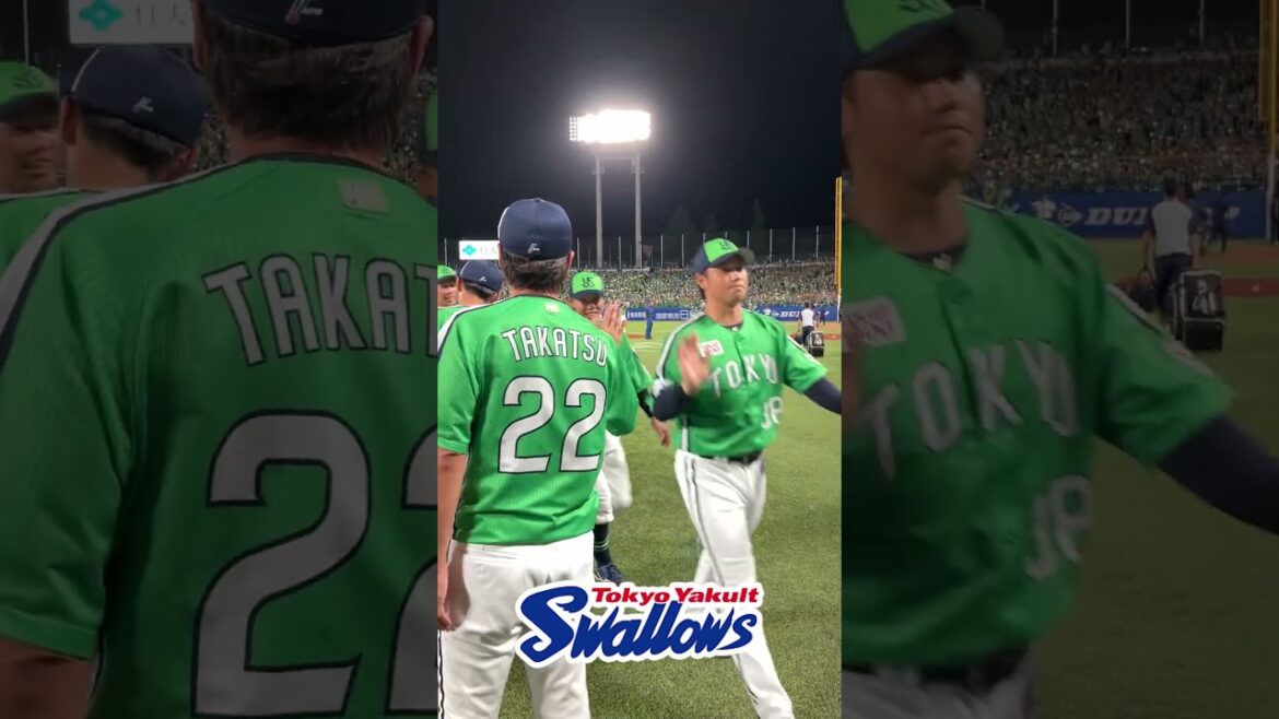 勝利後のハイタッチ  #swallows  #shorts