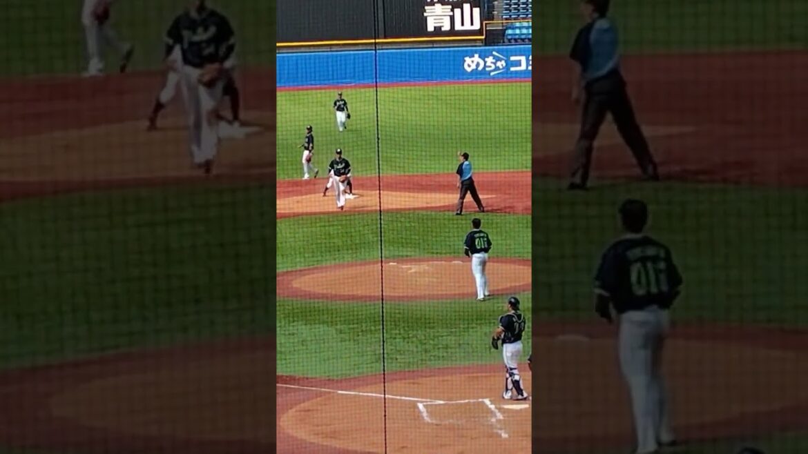 東京ヤクルトスワローズ 松本龍之介捕手（東海大学山形高等学校・堺シュライクス）盗塁阻止