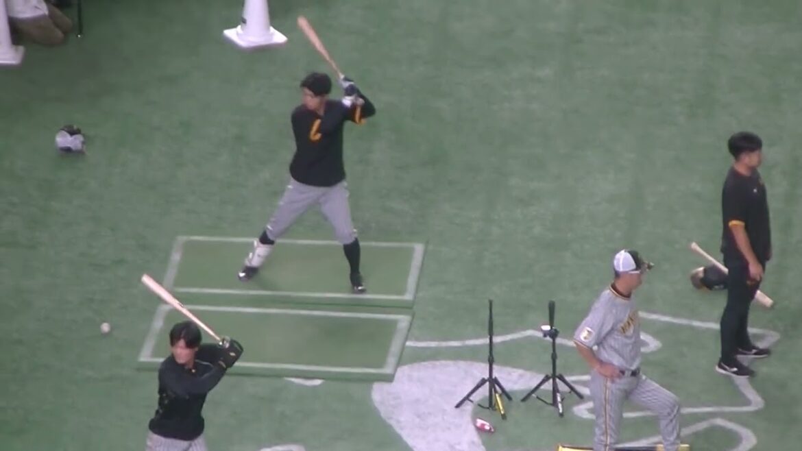 タイガース島田海吏のトスバッティング（2024年8月13日 読売ジャイアンツ 対 阪神タイガース）