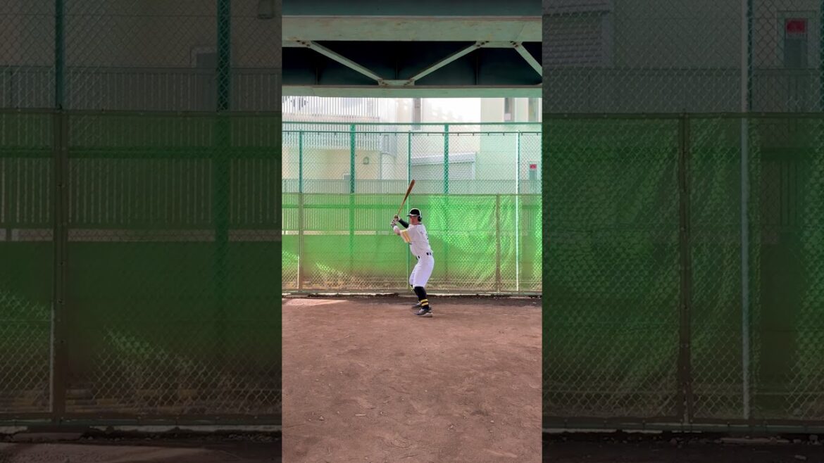 打った後バット投げが控えめな嶺井博希選手 打った後バット投げが控えめな嶺井博希選手