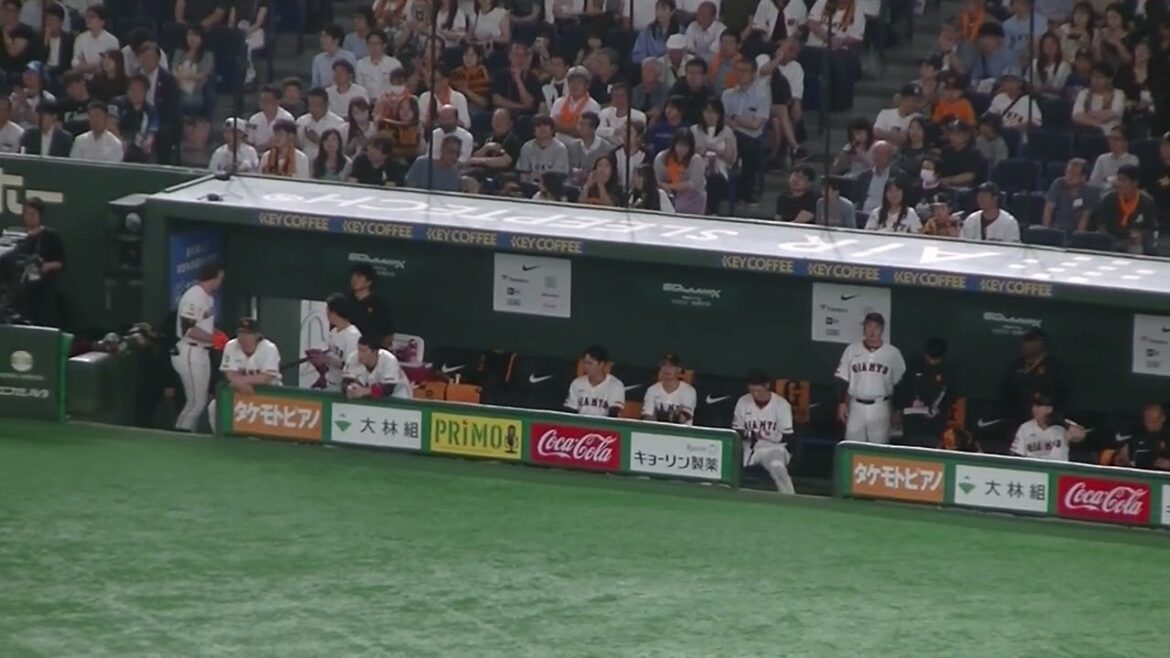 ベンチでの坂本勇人や吉川尚輝などの様子（読売ジャイアンツ対 西武ライオンズ 2025年6月20日）