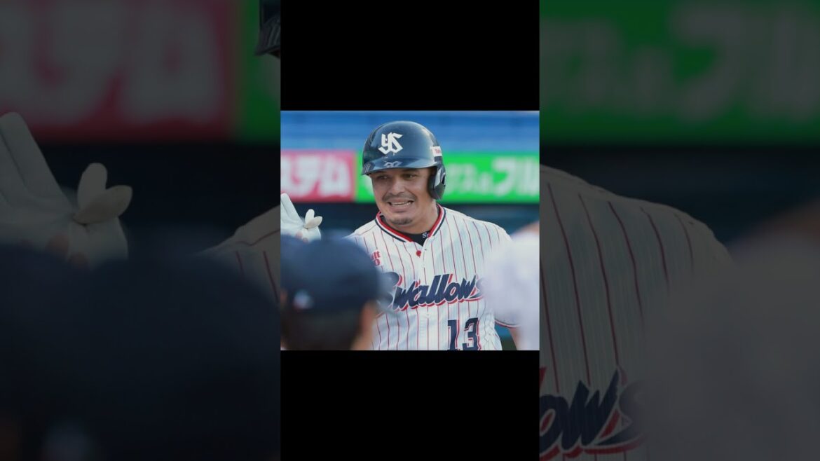 止まらぬヤクルト打線、今季2度目の3連勝！ #東京ヤクルトスワローズ #プロ野球 #野球