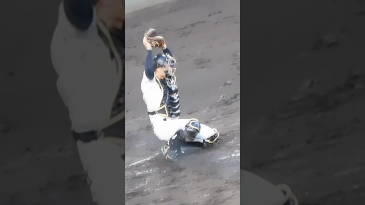 先制タイムリーを放ちファンの歓声に両手をあげて応える坂本誠志郎