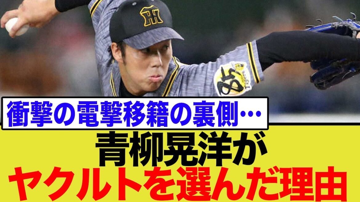 青柳晃洋、ヤクルト電撃入団の裏側!ドリス獲得が招いた運命と、新天地での復活の鍵とは… 青柳晃洋、ヤクルト電撃入団の裏側!ドリス獲得が招いた運命と、新天地での復活の鍵とは…
