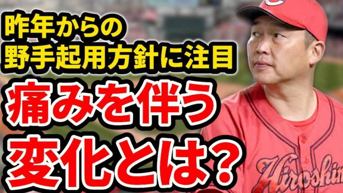 【変化】今年のカープは変わっているのか？中堅・ベテラン起用が続く？【広島東洋カープ】
