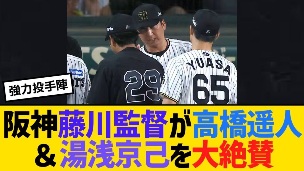 阪神・藤川監督が高橋遥人＆湯浅京己を大絶賛！【野球】【反応】【考察】